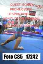 CS5_17242-
