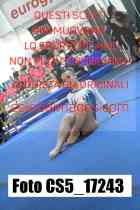 CS5_17243-