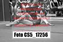 CS5_17256-