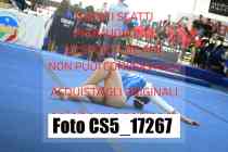 CS5_17267-