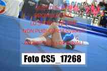 CS5_17268-
