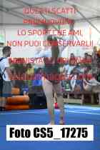 CS5_17275-