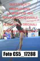 CS5_17288-
