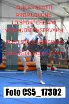 CS5_17302-
