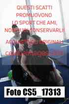 CS5_17313-