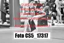 CS5_17317-