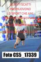CS5_17339-