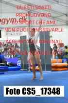 CS5_17348-