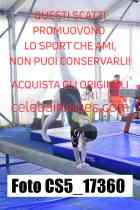 CS5_17360-