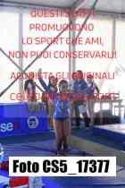 CS5_17377-