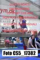 CS5_17382-