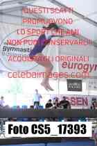 CS5_17393-