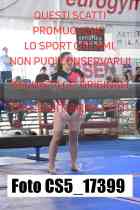 CS5_17399-