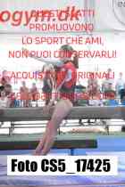 CS5_17425-