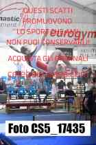CS5_17435-