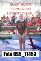 CS5_17453-