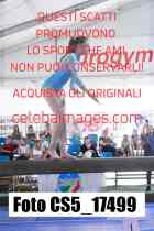 CS5_17499-