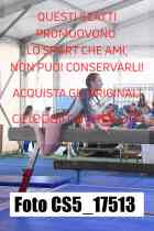 CS5_17513-