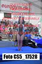 CS5_17528-