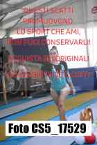 CS5_17529-