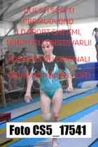 CS5_17541-