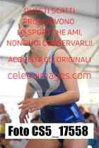 CS5_17558-