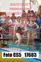 CS5_17683-