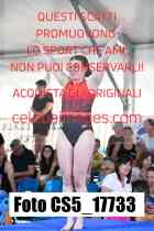 CS5_17733-
