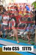 CS5_17775-