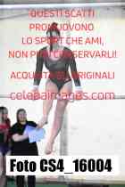 CS4_16004-