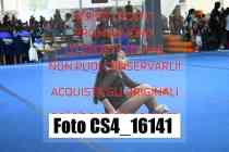 CS4_16141-