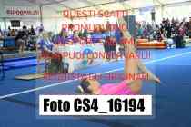CS4_16194-