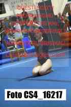 CS4_16217-