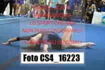 CS4_16223-