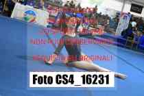 CS4_16231-