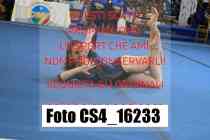 CS4_16233-