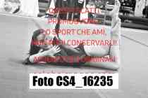 CS4_16235-