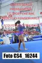 CS4_16244-