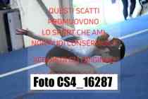 CS4_16287-