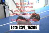 CS4_16288-