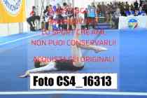 CS4_16313-