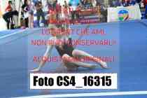 CS4_16315-