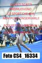 CS4_16334-