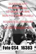 CS4_16383-