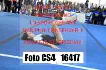 CS4_16417-
