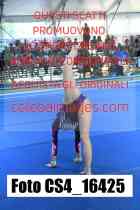 CS4_16425-