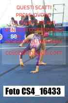 CS4_16433-