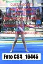 CS4_16445-