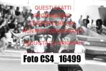 CS4_16499-