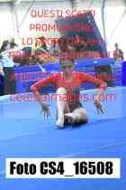 CS4_16508-